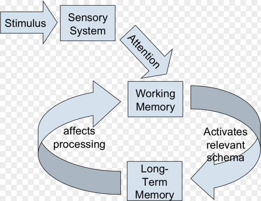 Working Memory Training Long-term Short-term Cognitive Load PNG