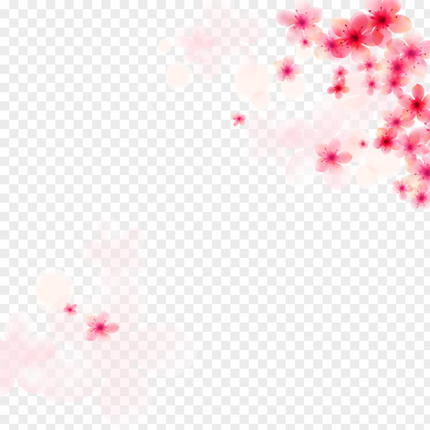 Creative Pink Cherry Blossoms Blossom PNG