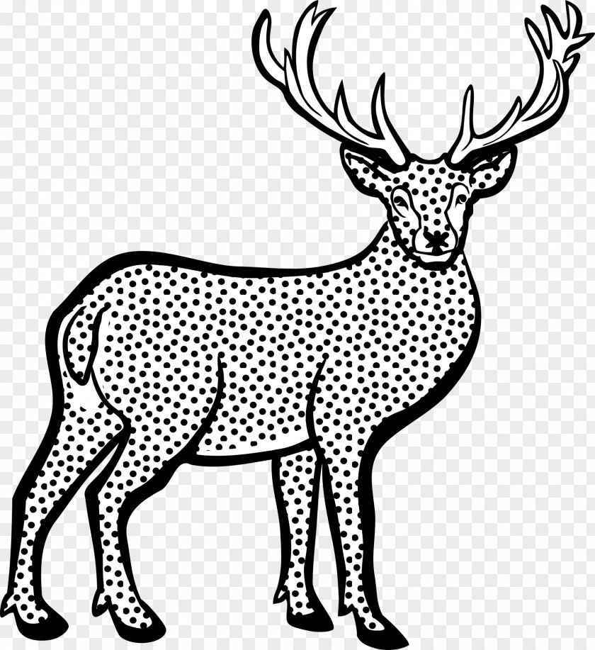 Deer White-tailed Red Clip Art PNG