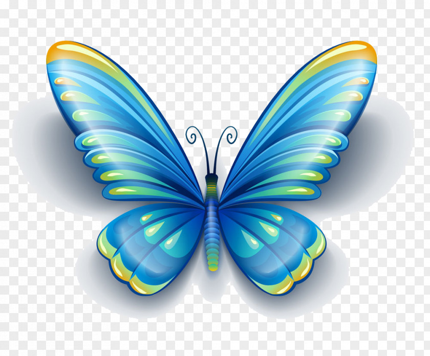 Fantasy Blue Butterfly Insect Morpho Peleides Butterflies And Moths Euclidean Vector PNG