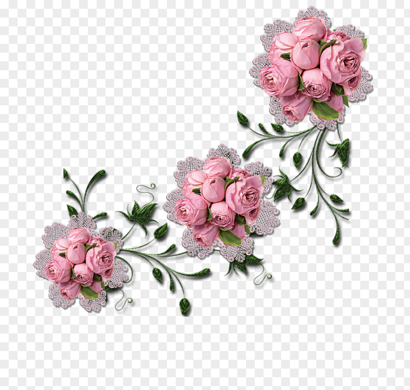 Flower Garden Roses Meaning Name Infant PNG