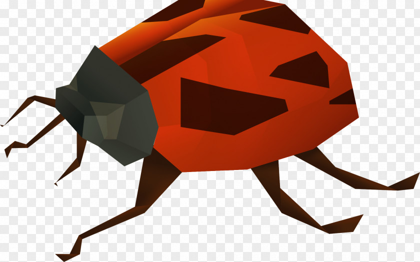 Ladybug Insect Bee Ladybird Euclidean Vector PNG