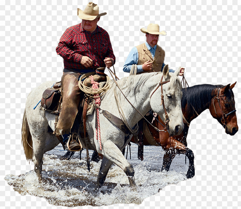 Mustang Cowboy Reining Equestrian PNG