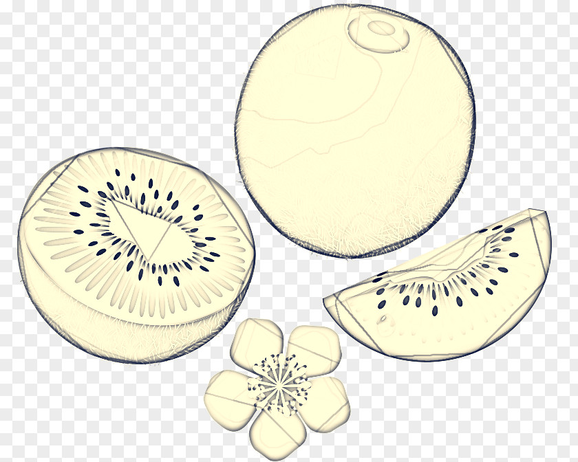Plant Fruit Body Jewellery Material PNG