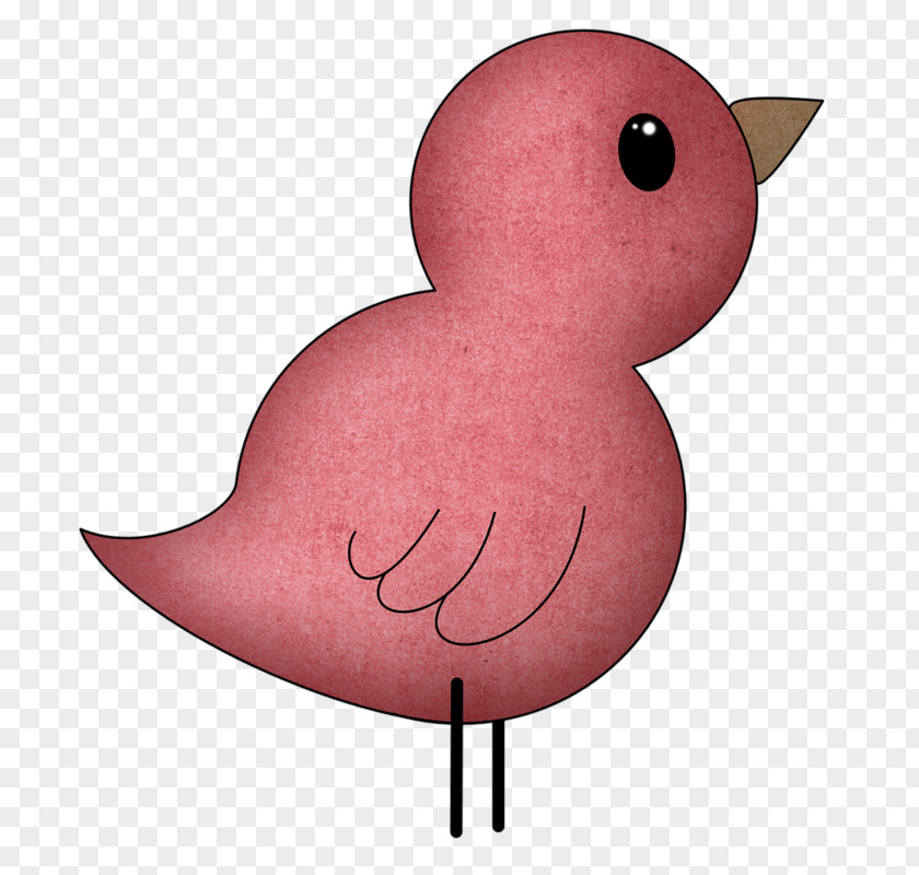 Purple Bird Chicken Green PNG