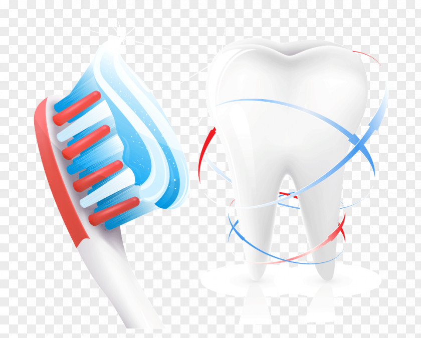 Toothbrushes Dental Health Vector Dentistry Toothbrush Euclidean PNG