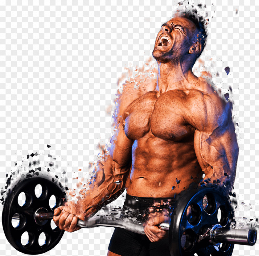 Weight Training Muscle Bodybuilding Barbell Lean Body Mass PNG training body mass, chest muscle clipart PNG