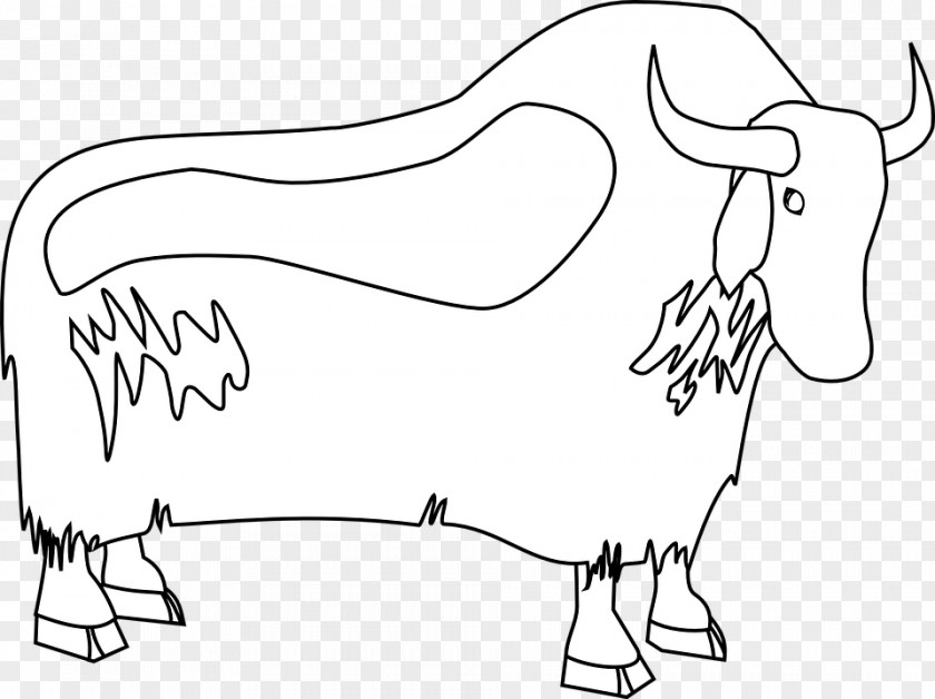 Buffalo Skull Domestic Yak American Bison Drawing Clip Art PNG