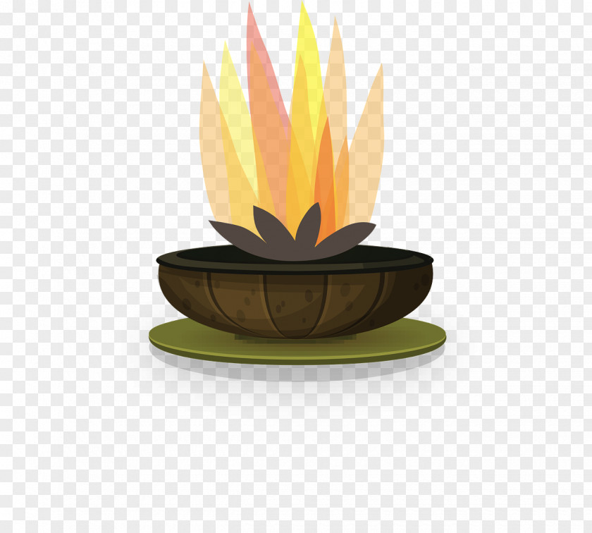 Burn Fire Pit Garden Flame Condensing Boiler PNG