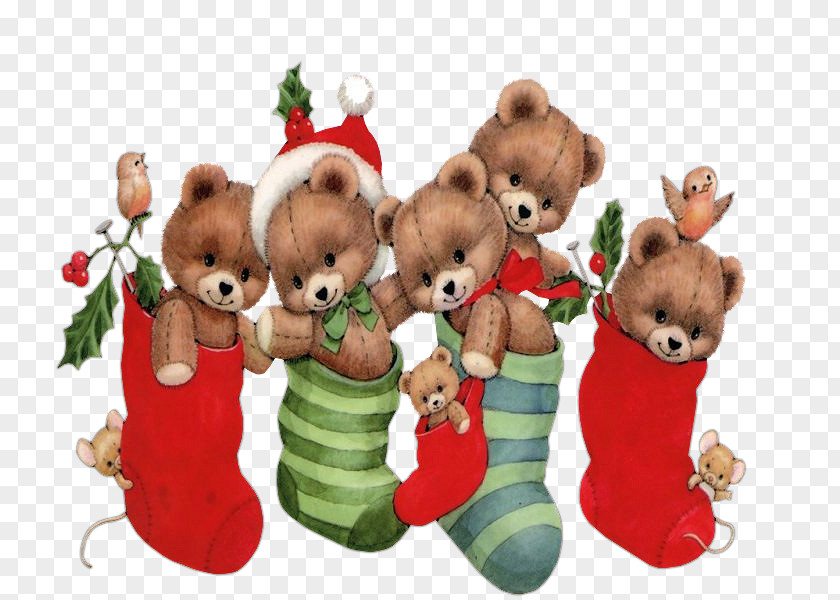 Christmas Card Bear Eve Decoration PNG