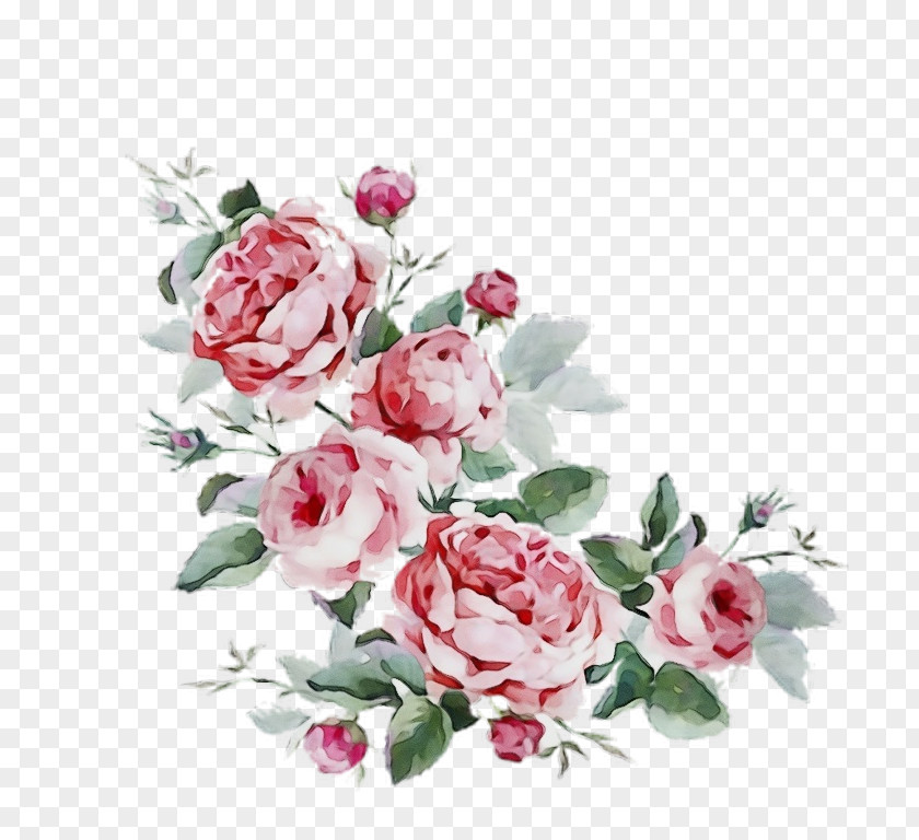 Cut Flowers Flowering Plant Garden Roses PNG