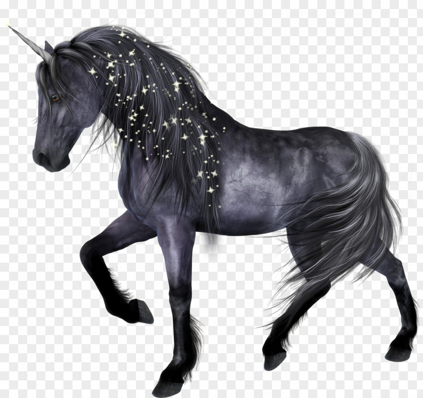 Horse Clip Art PNG