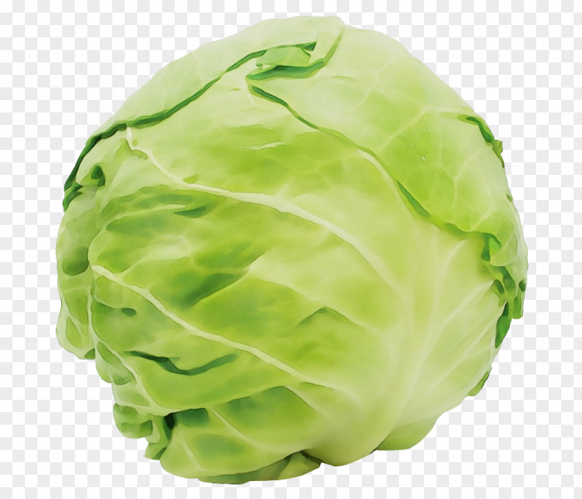 Plant Food Cabbage Green Lettuce Iceburg Cruciferous Vegetables PNG