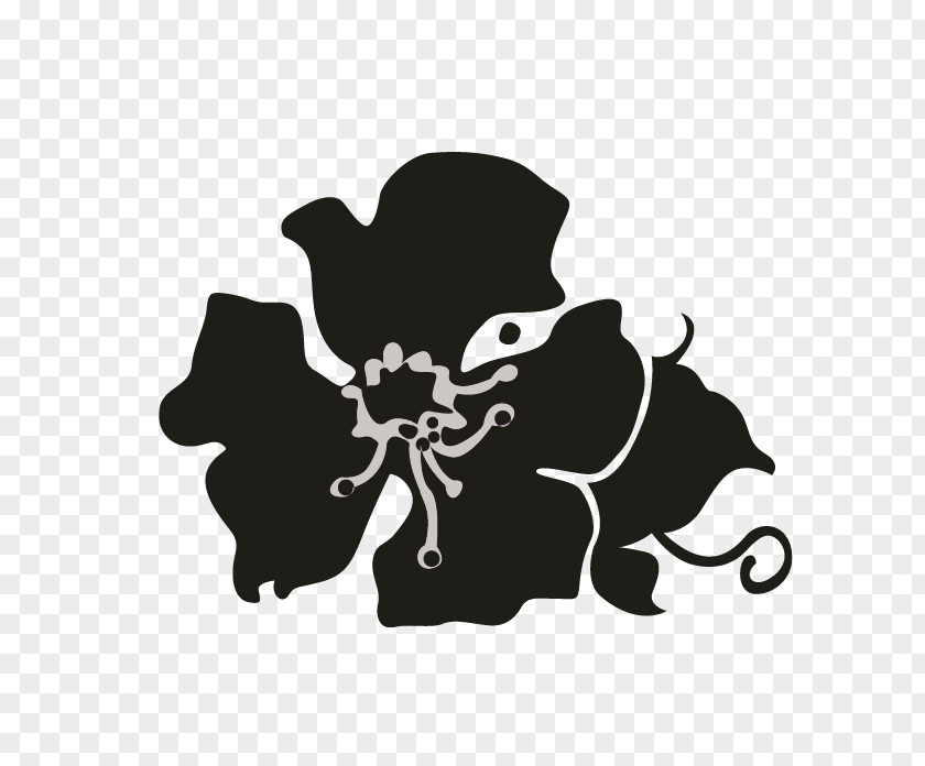 Silhouette Black White Flowering Plant PNG