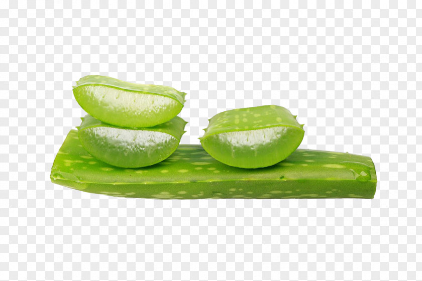 Aloe Slices Vera Stock Photography Gel PNG