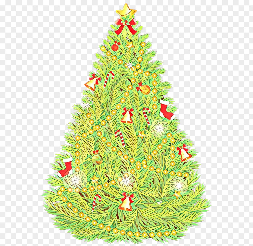 Balsam Fir Lodgepole Pine Christmas Tree PNG