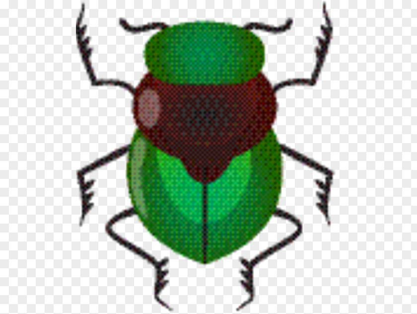 Cetoniidae Japanese Beetle Leaf Background PNG
