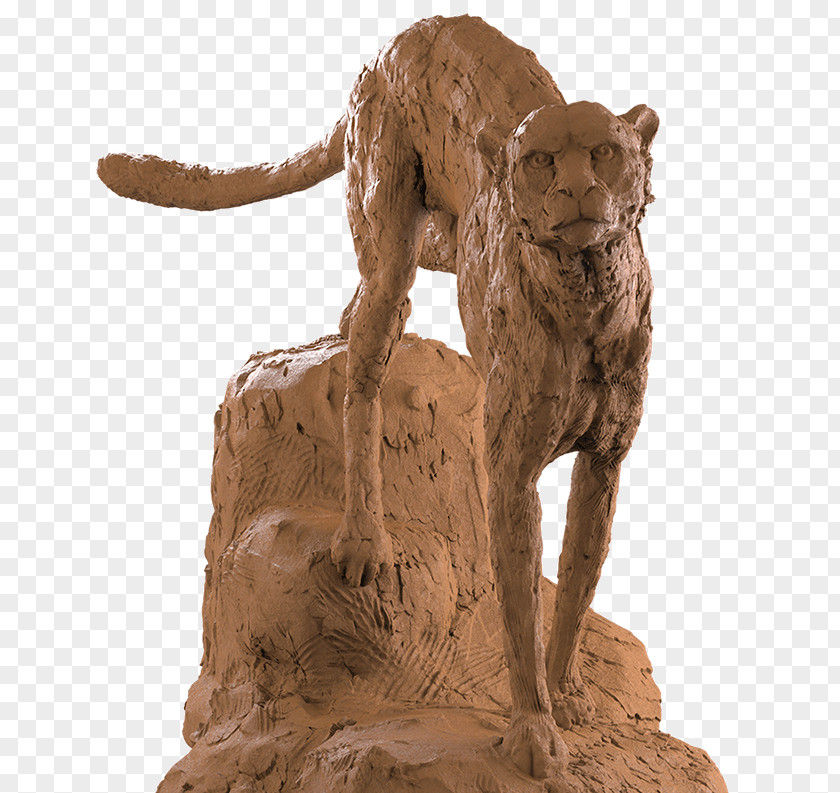 Cheetah ZBrush Computer Software Rendering Upgrade 3D Modeling PNG