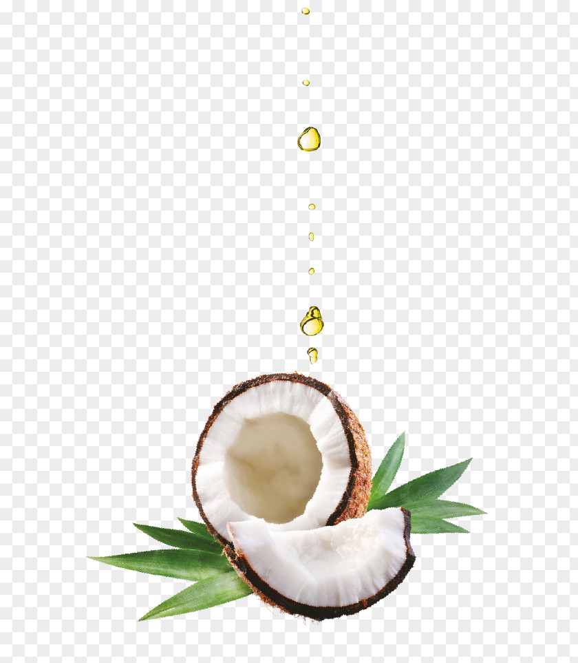 Coconut Oil Olive Lotion PNG