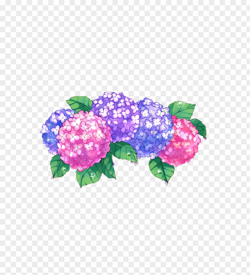 Flor Hydrangea Cut Flowers Petal Plant PNG