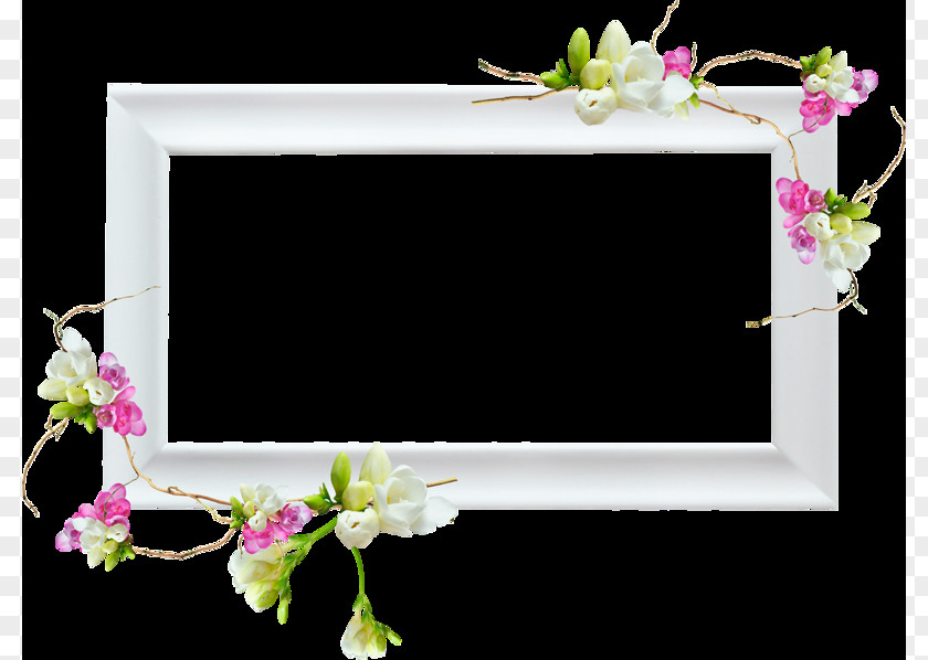 Flower Picture Frames Image Design PNG