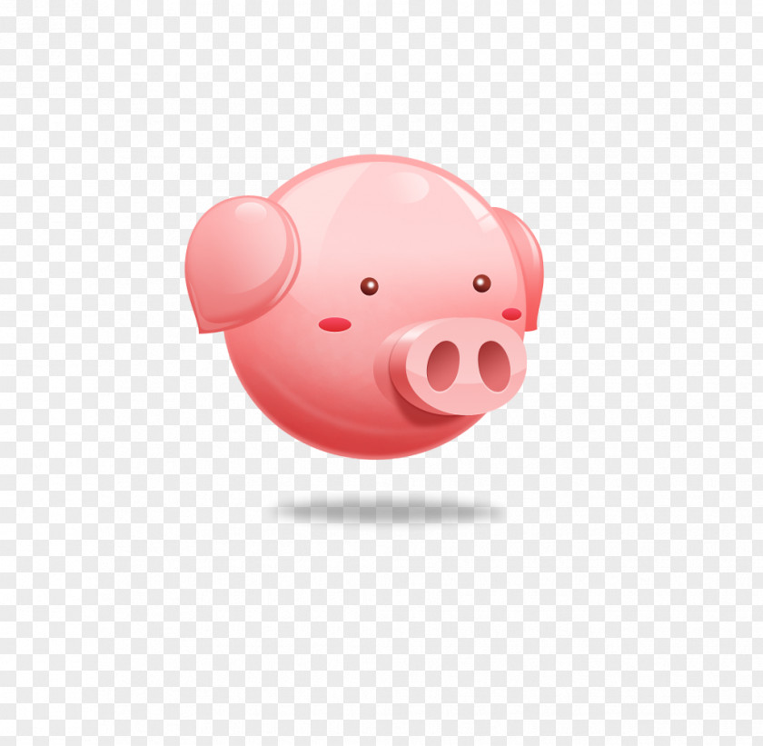 Pig APP Domestic Snout Piggy Bank Wallpaper PNG