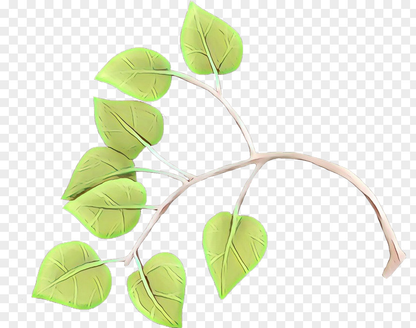 Plant Stem Twig Leaf Green Branch Flower PNG