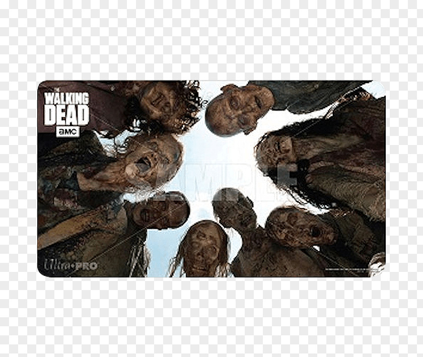Season 2 The Walking DeadSeason 5 DeathShaun Of Dead Negan PNG