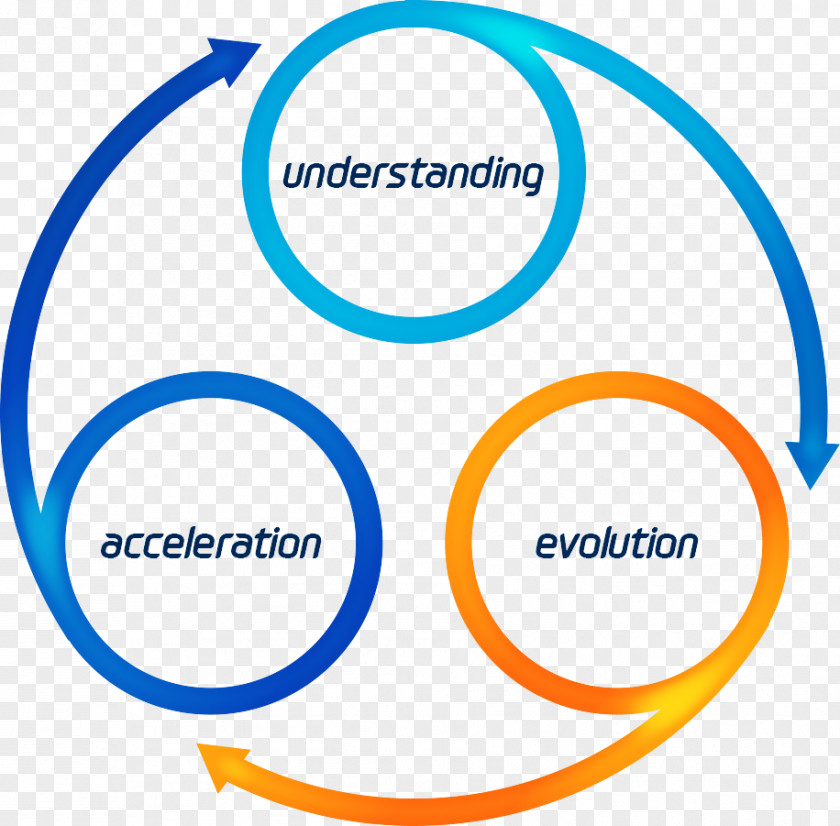 Financial Circles Trizma Organization Outsourcing Jelicic PNG