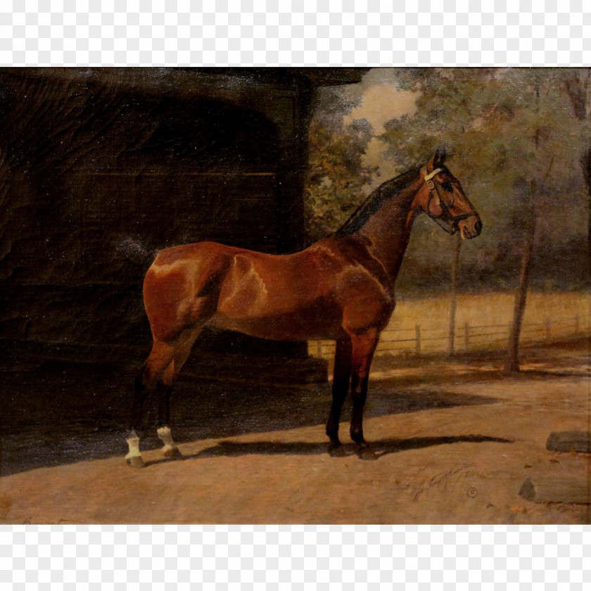 Fine Horse Thoroughbred Mare Oil Painting PNG