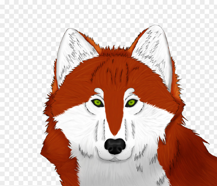 Ipo Red Fox Illustration Fur Character Snout PNG