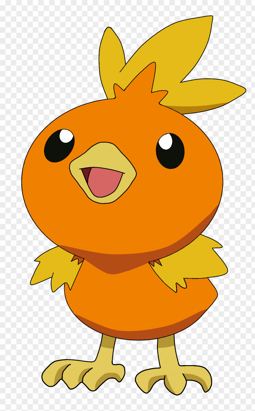 Pokémon X And Y Torchic Pokkén Tournament May PNG