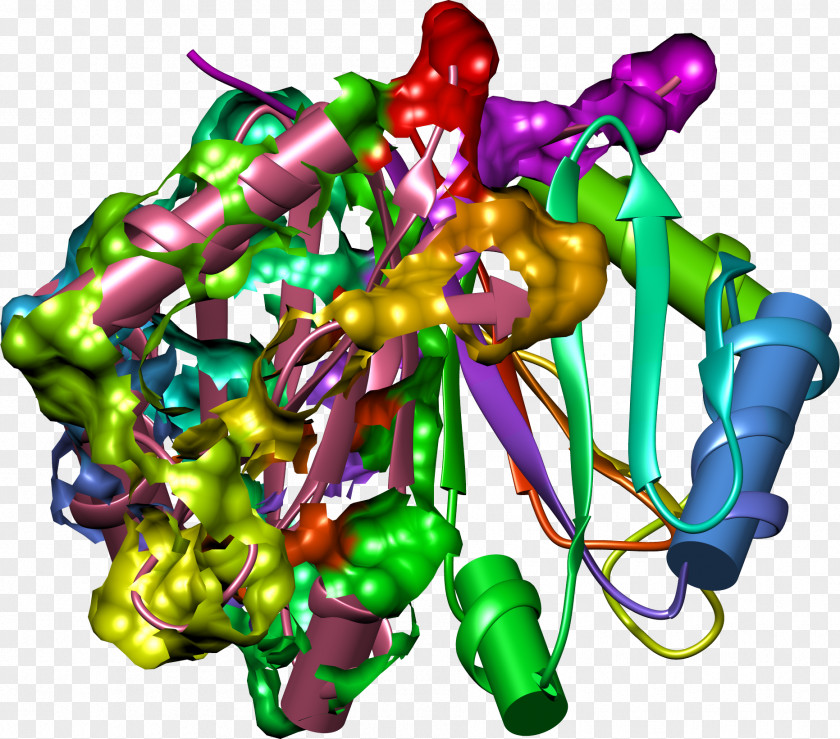 Actinbinding Protein Art Character PNG
