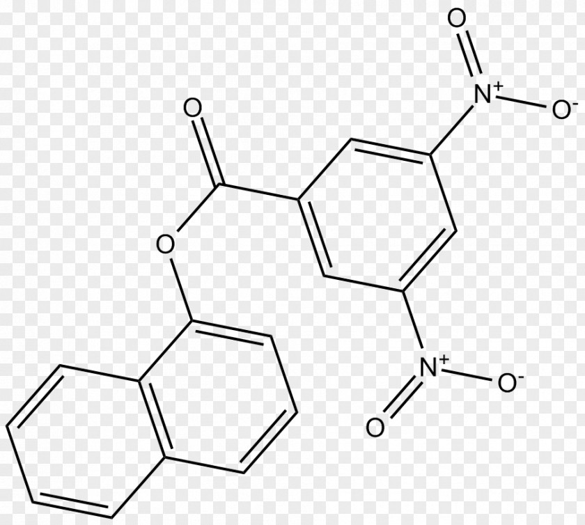 Arachidonate 5-lipoxygenase Metabolism Boswellic Acid Enzyme Inhibitor PNG