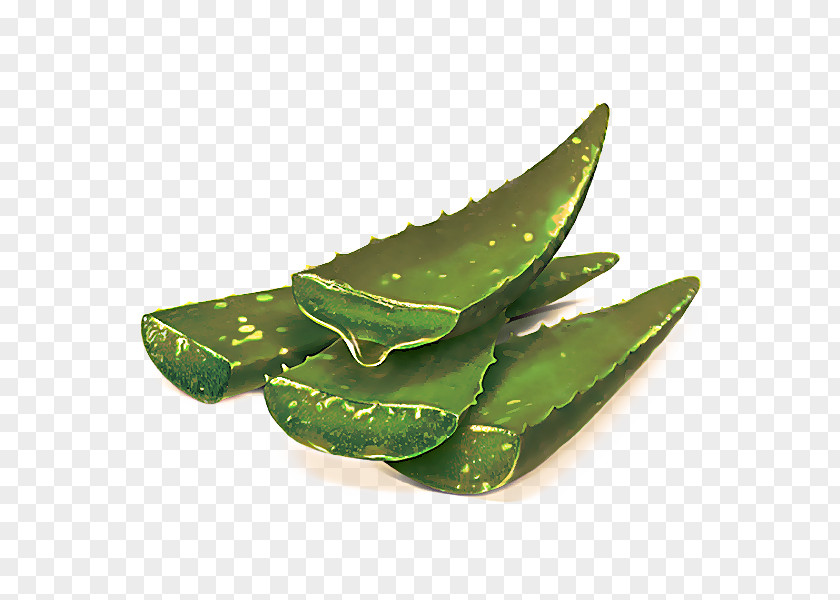 Food Snow Peas Leaf Plant Aloe PNG