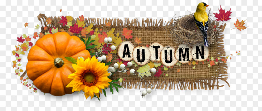 Happy Autumn We Are Grateful For You Cat Image Chữ Viết Blog Text PNG