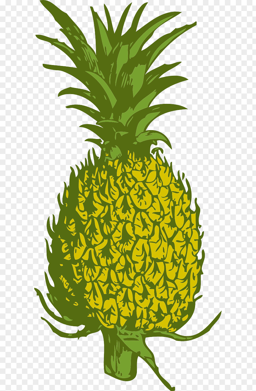 Pineapple Luau Cuisine Of Hawaii Clip Art PNG