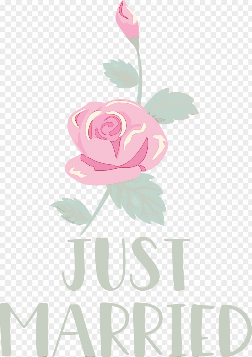 Garden Roses PNG