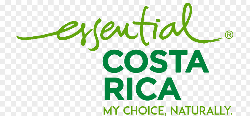 Green Sea Turtle Nesting Sites Logo Esencial Costa Rica Brand Tourism Product Design PNG