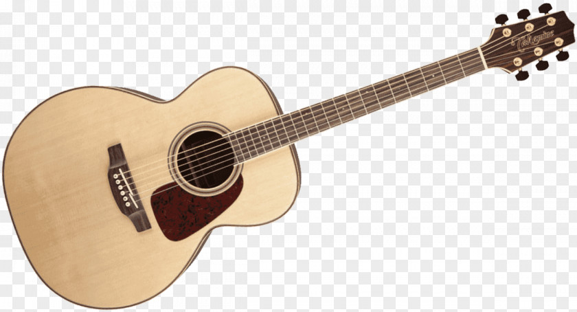 Guitar Twelve-string Takamine Guitars Acoustic Acoustic-electric PNG