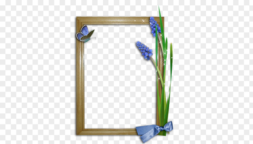 Picture Frames Photography Text Drawing Image PNG