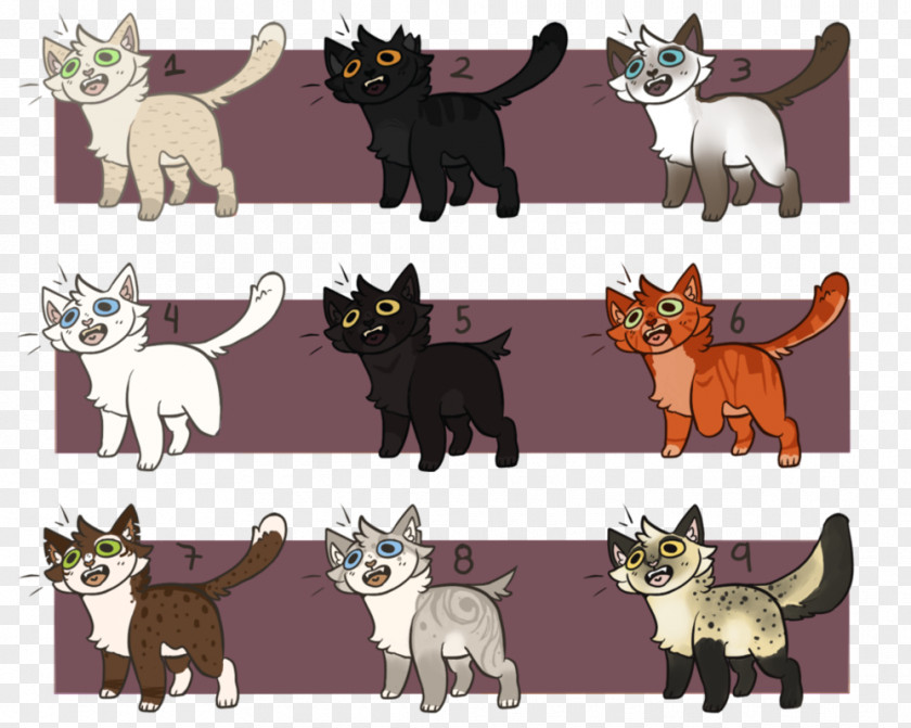Realistic Warrior Cat Drawings Kitten Super Edition Series Whiskers Art PNG