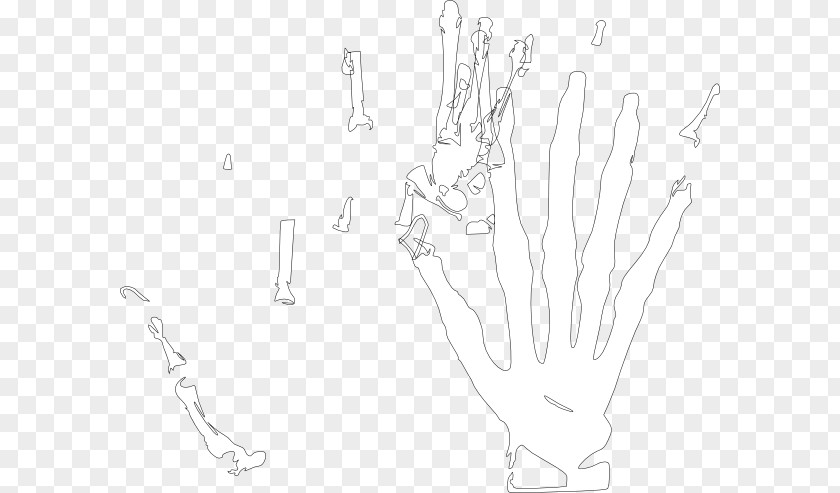 Skeleton Hand Cliparts Black And White Graphic Design Shoe PNG