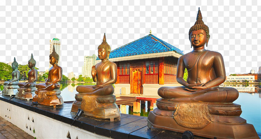Beautiful Thai Buddha Sigiriya Colombo Negombo Kandy Galle PNG