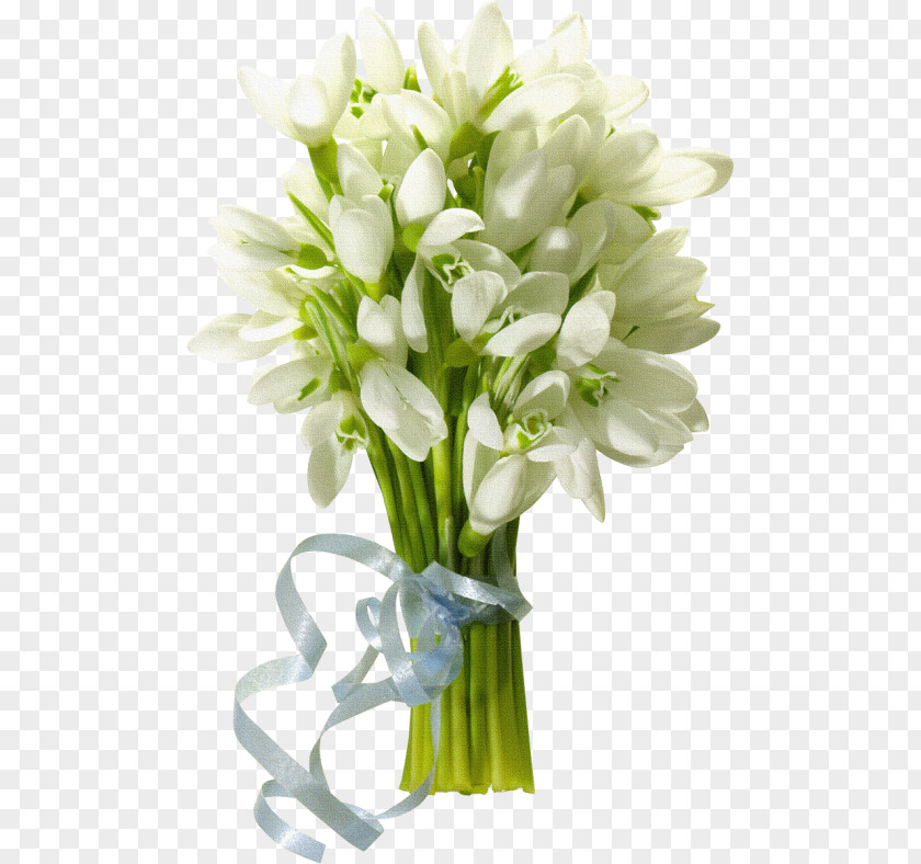 Flower Desktop Wallpaper Bouquet PNG