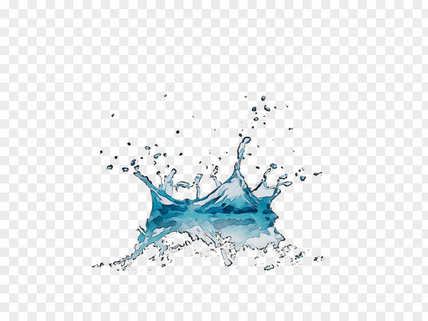 Graphics Water Illustration Fish Graphic Design PNG