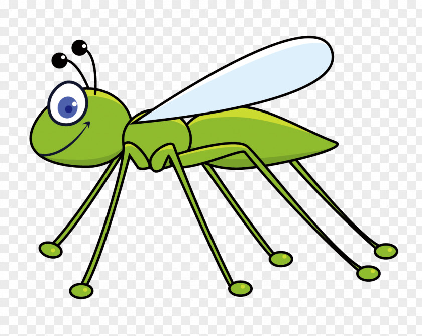 Grasshopper Insect Butterfly Cartoon Clip Art PNG