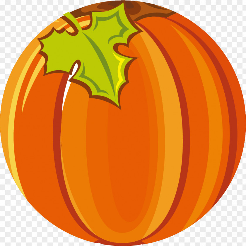 Kabocha Pumpkin Vegetable Image Cartoon PNG