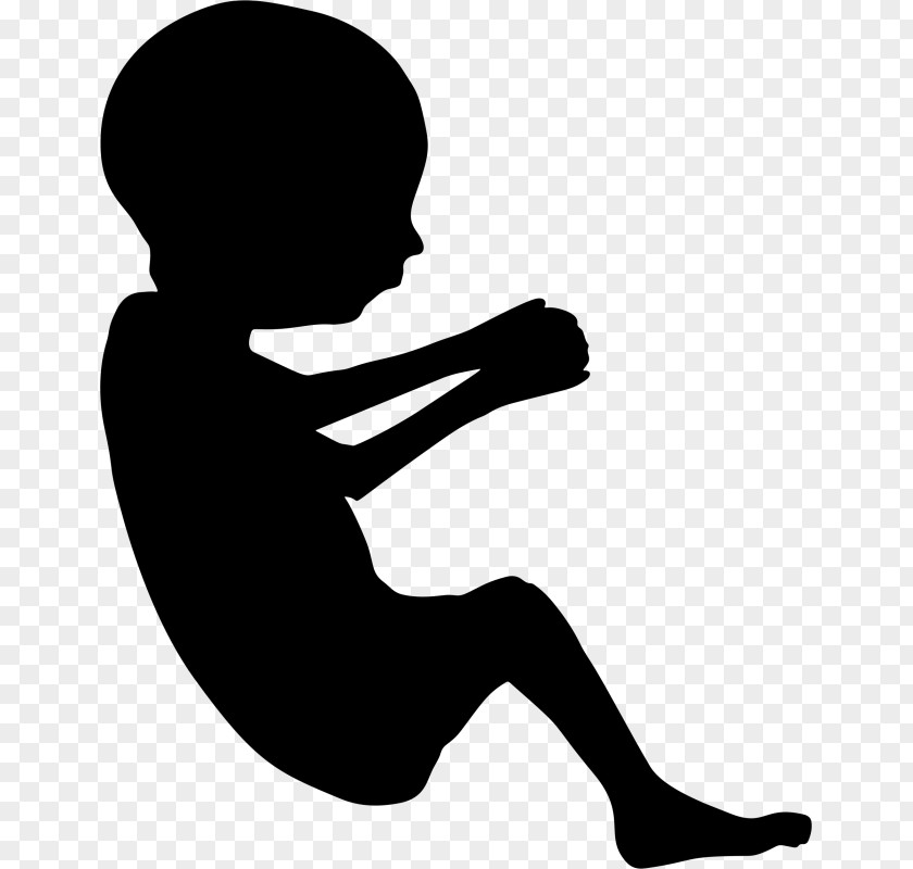 Pregnancy Fetus Silhouette Infant PNG