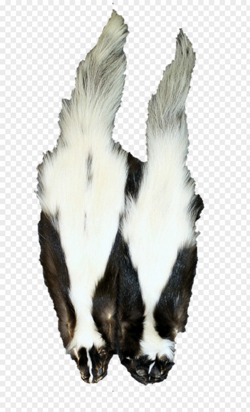 Skunk Belly Muskrat Rodent Fur Clothing American Beaver PNG